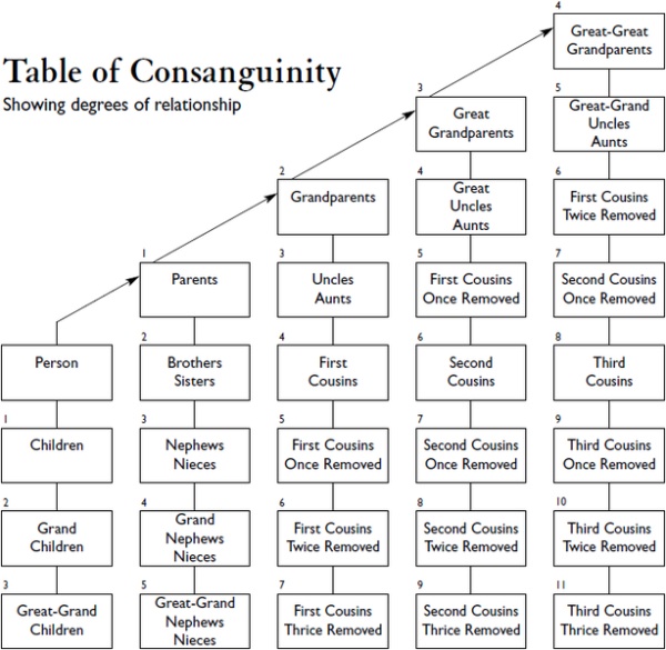 Kinship terminology: How we refer to our family relationships