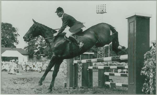 The Horses’ Birthday  – The Story of Mirrabooka
