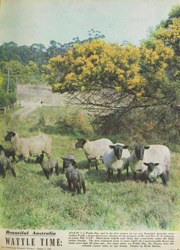 A Women's Weekly feature in