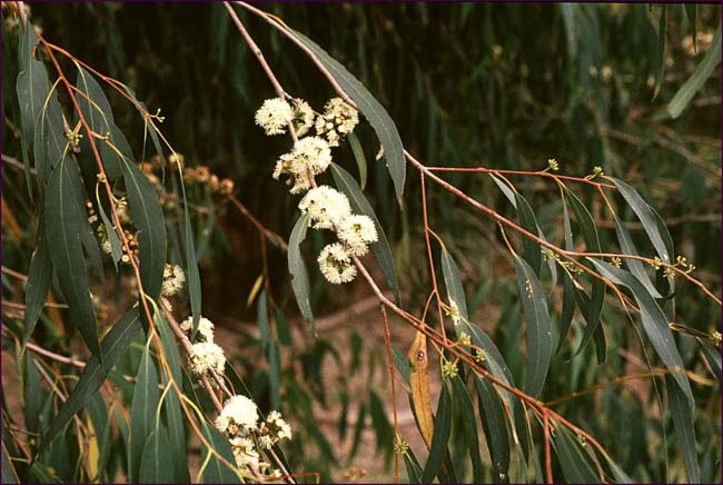 100 Years Ago – 25 October&nbsp;1913