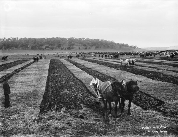 Ploughing Matches were regular events in rural Australia at this time in our history