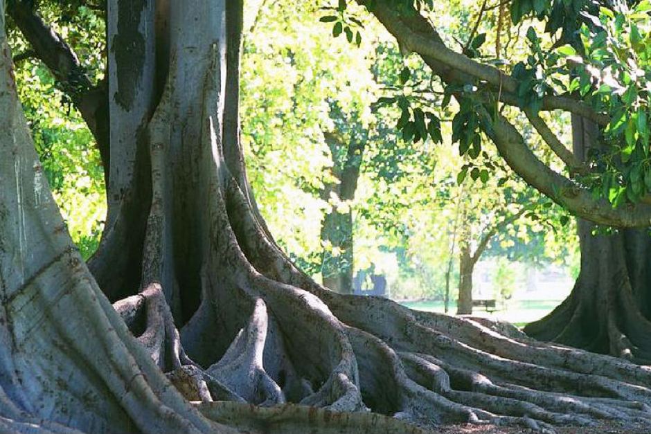 100 Years Ago – 6 December&nbsp;1913