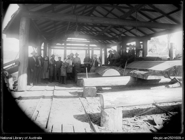 Mr Mitchell's sawmill at Narooma - from the William Corkhill Collection, NLA.