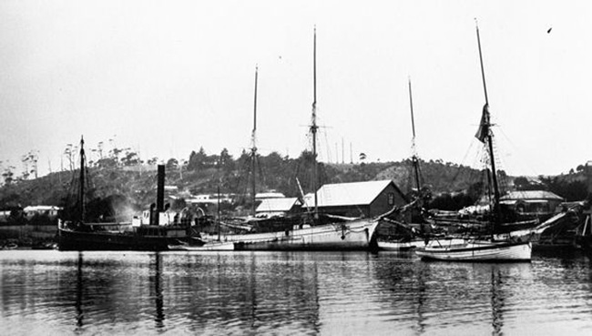 The steamer Hillsmeads is far left.