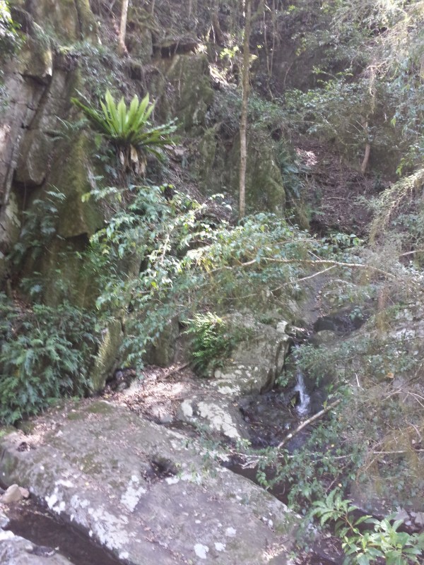 It would have been a difficult feat to get the heavy machinery needed for the mines into the rugged terrain around Nerrigundah