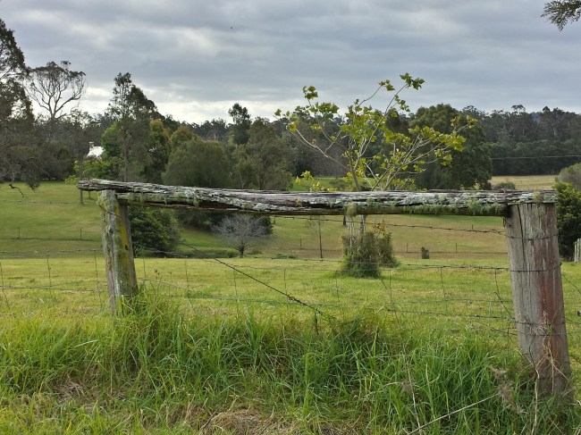 Photo tank from Yarragee Rd, Moruya.