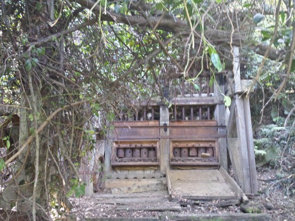 Abandoned battery at Coman's Mine, Nerrigundah