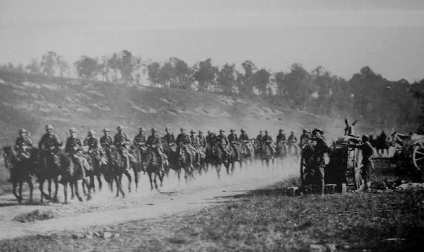 In the First World War between 136,000 and 169,000 “Walers” (the name generally applied to Australia’s sturdy horses) were sent overseas for use by the Australian Imperial Force and the British and Indian governments; 6,100 of those horses embarked for Gallipoli. One horse from them all made it back to Australia. - See more at: http://mhhv.org.au/?p=830#sthash.sz6Wgzvu.dpuf