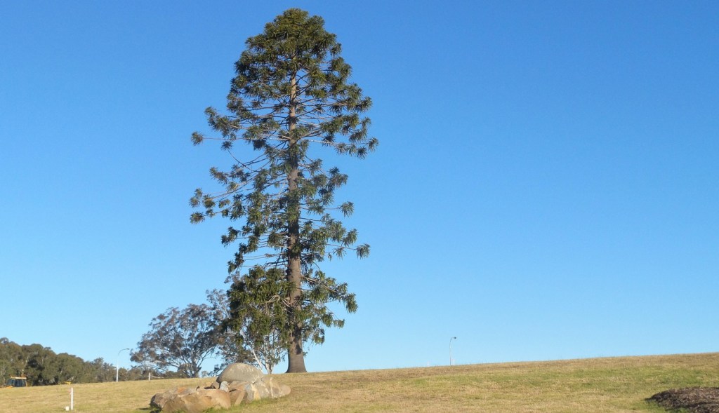 Braemar Farm Homestead