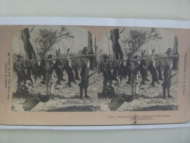 Stereograms such as these would have been used at Newstead Public School - MDHS Collection