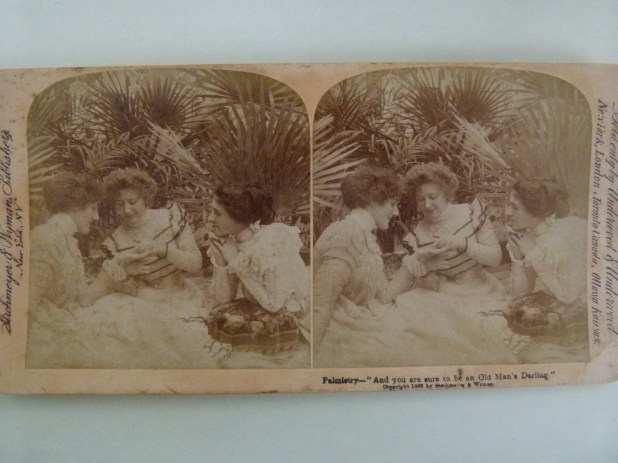 Palmistry:     MDHS Collection