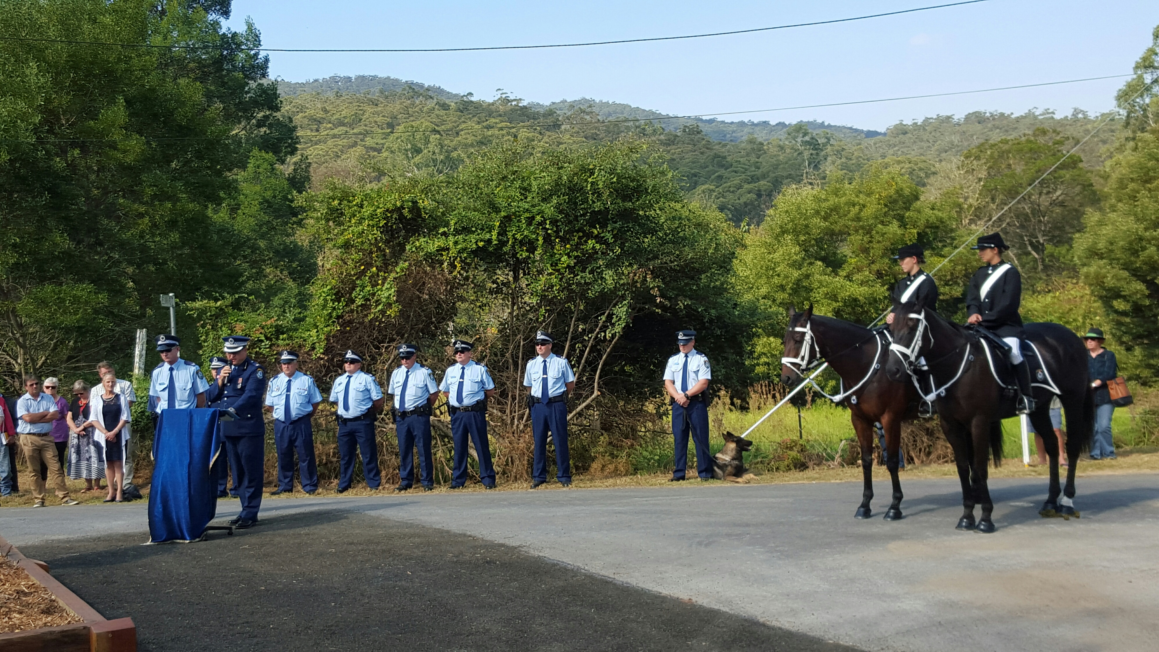 20160409_132002_resized