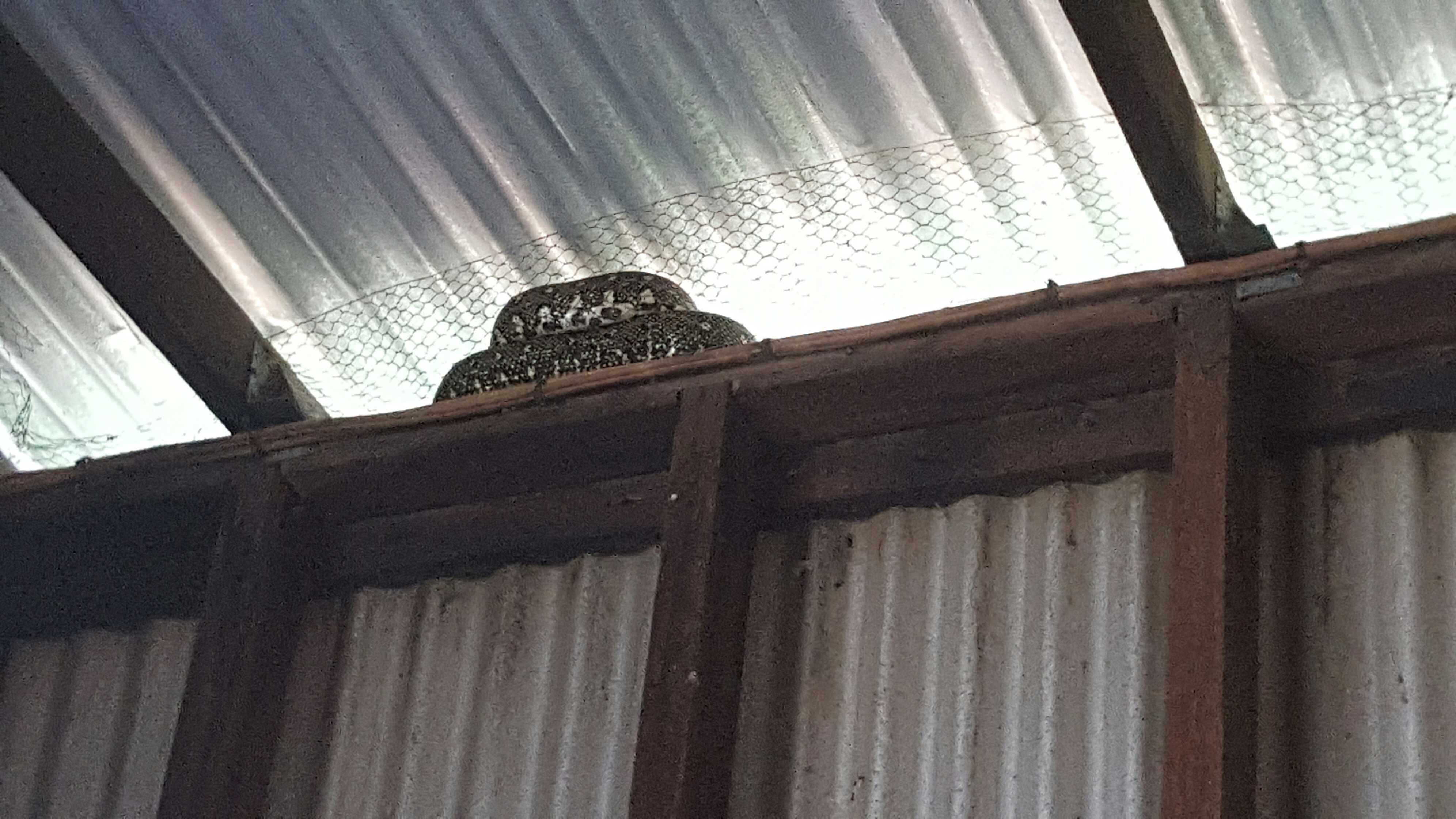 20160409_152713_resized