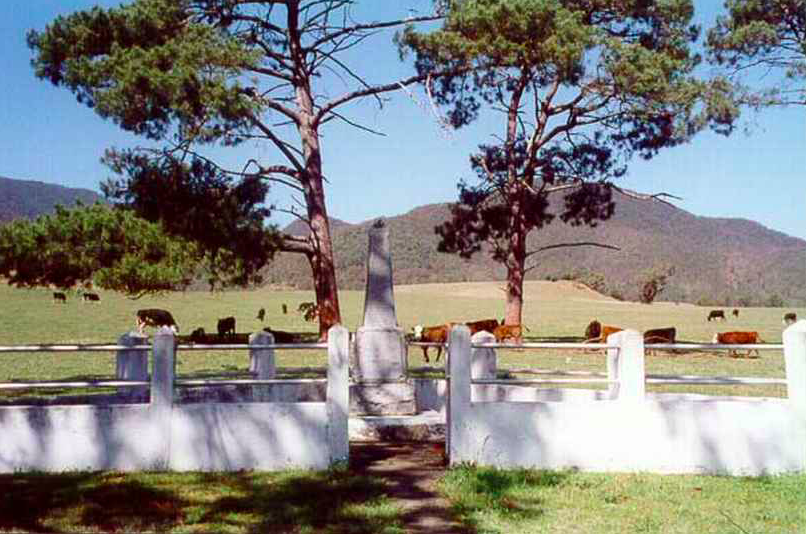 Screen Shot 2017-10-25 at 3.10.37 pm