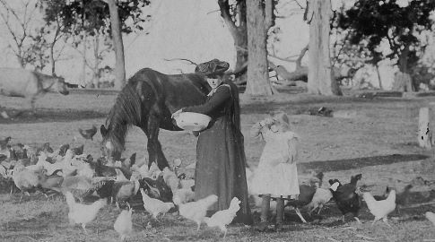 News from 100 years ago – 29 July 1922