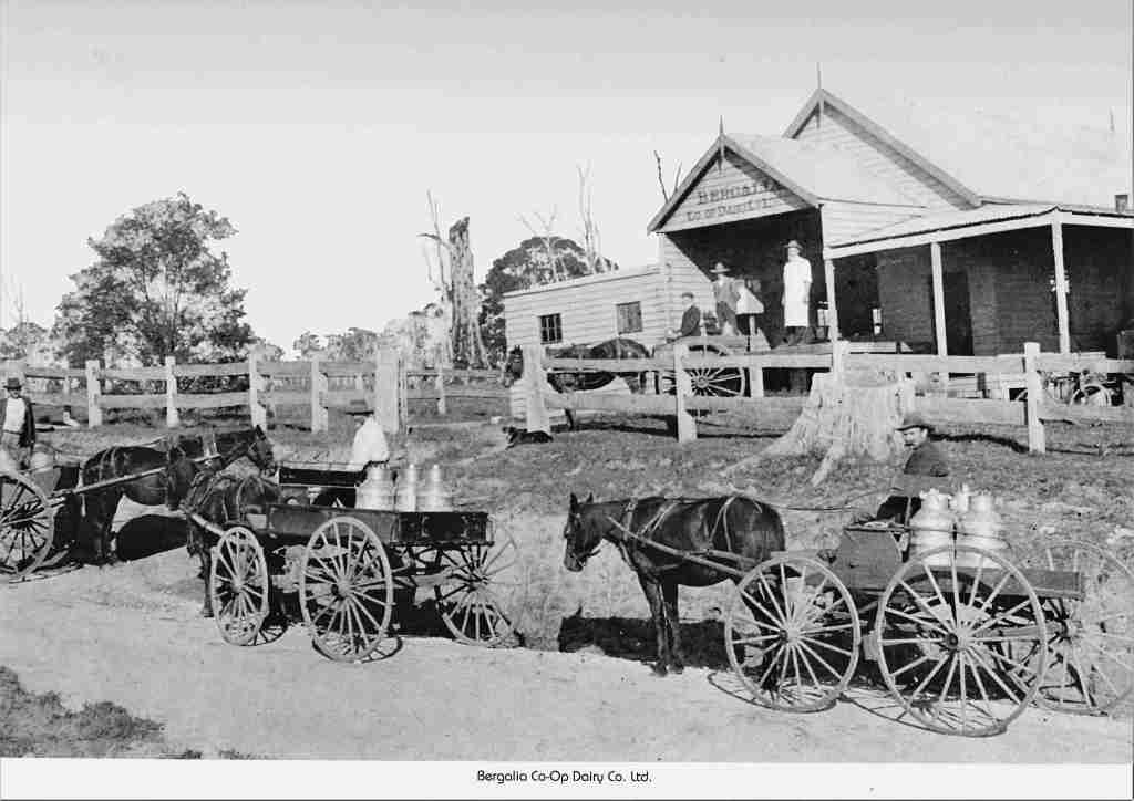 Book Launch – Bergalia, Meringo & Bingie – Sat 5&nbsp;Aug