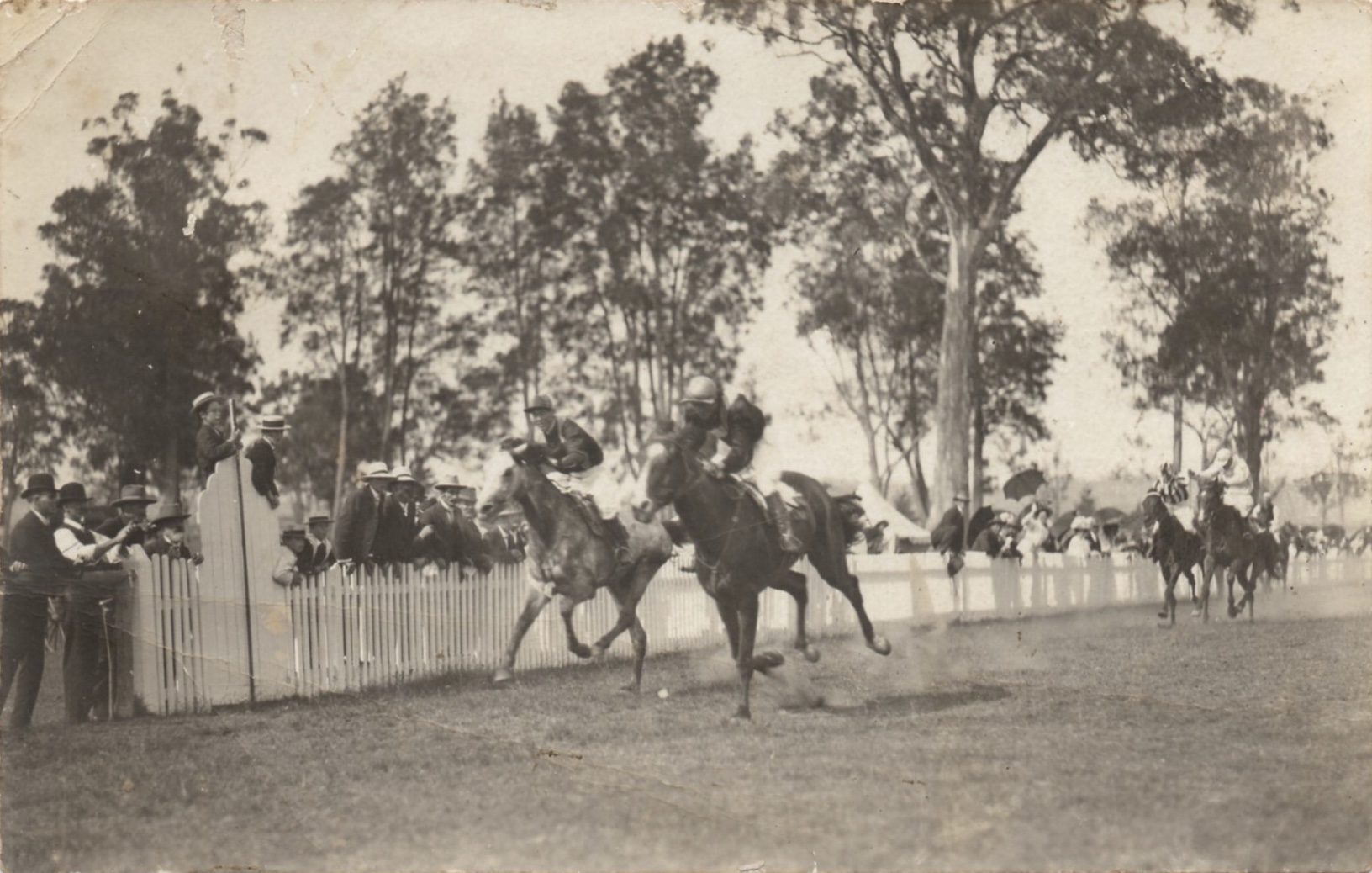 Torrential Rains, the Moruya Cup and a Golden Wedding – News in the Moruya Examiner on 10 January 1920.