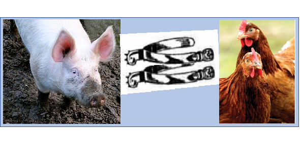 100 Years Ago – 7 April&nbsp;1923