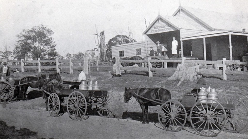 Bergalia, Meringo & Bingie – New Book by Shirley&nbsp;Jurmann