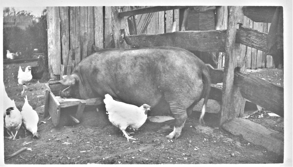 100 years Ago – 4 August&nbsp;1923