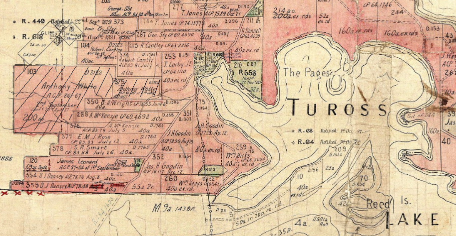 100 Years Ago – 2 February 1924