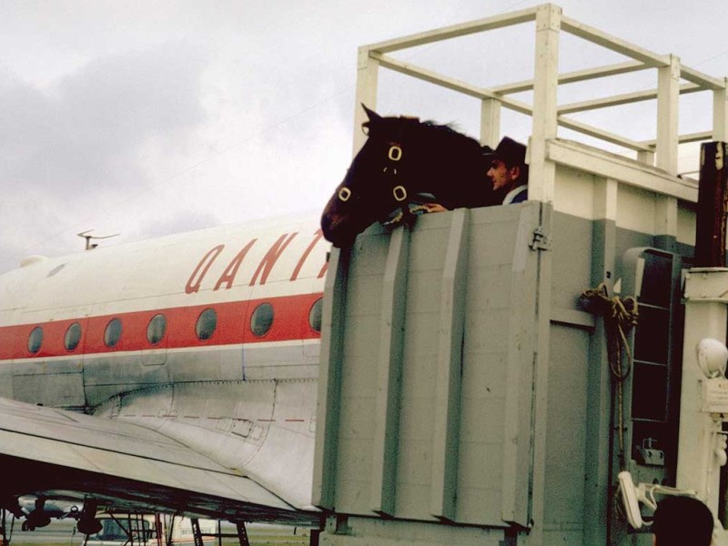 Local Olympic Hero has a&nbsp;Birthday