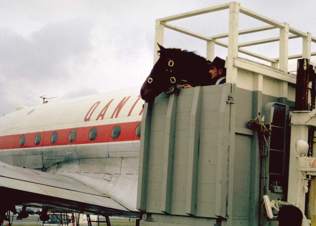 Local Olympic Hero has a&nbsp;Birthday