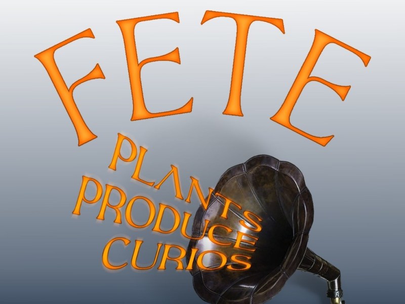 MDHS Spring Fete – Saturday 5&nbsp;Oct