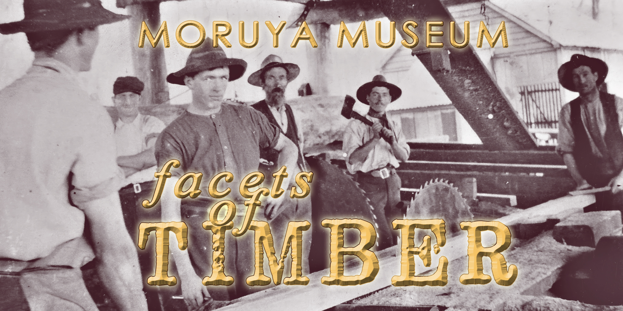 Facets of Timber – Special Exhibition