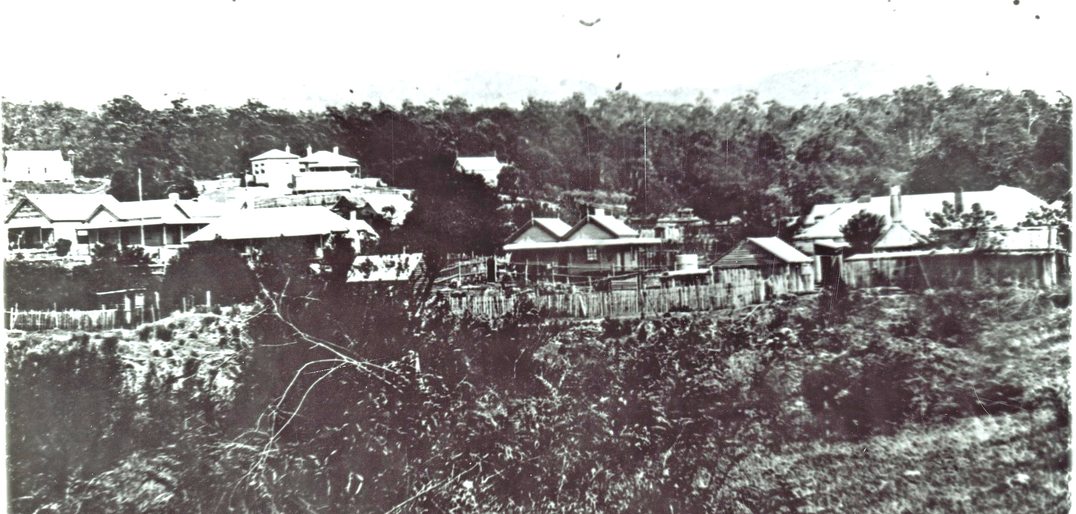 100 Years Ago – 20 February 1926