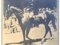 50 Years Ago –  12 March&nbsp;1976