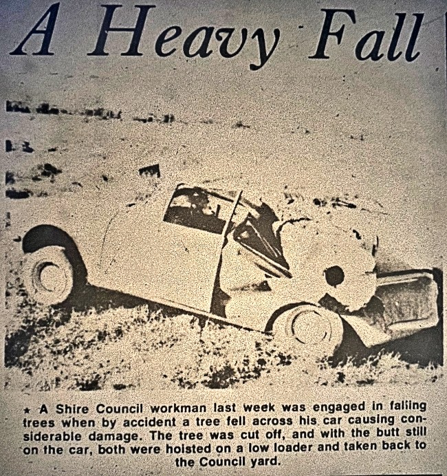 50 Years Ago – 3 June 1976