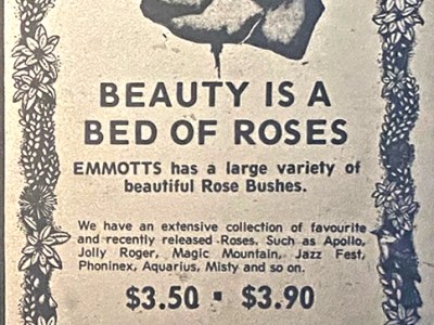 50 Years Ago – 29 July&nbsp;1976