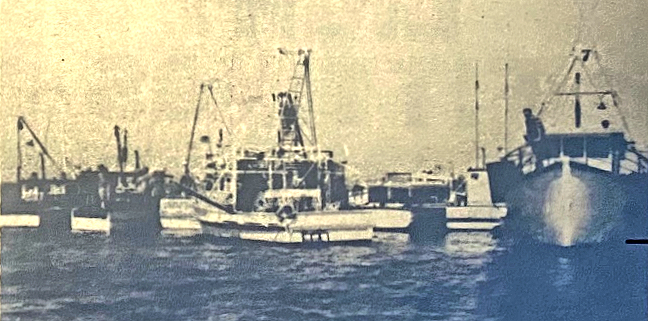 50 Years Ago – 6 October 1976